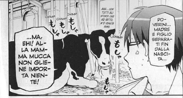 Silver Spoon
