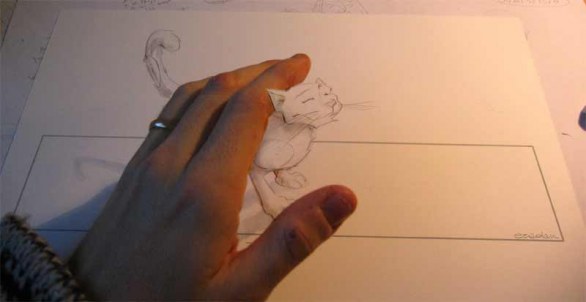Carezze al gatto